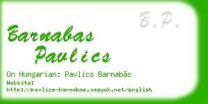 barnabas pavlics business card