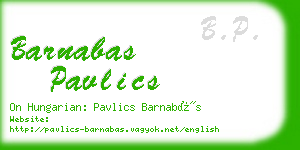 barnabas pavlics business card